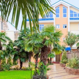 Фотография мини отеля Дельфин