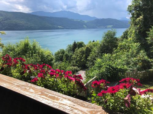 Фотографии гостевого дома 
            Seealm