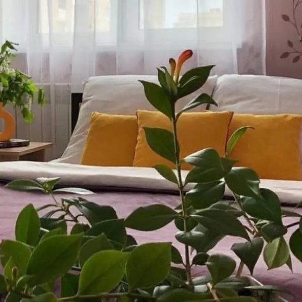 Фотографии квартиры 
            Апартаменты YarKo 2