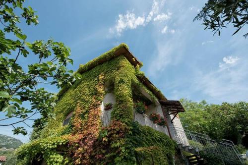 Фотографии гостевого дома 
            Casale Bambù - Hidden Countryhouse