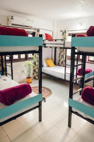 Фотография хостела Hostel Crown Udaipur