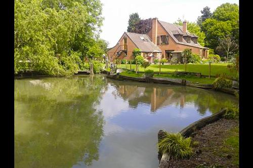 Фотография мини отеля Chambre d'hôtes Élevage' chemin noir