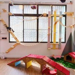 Фотографии мини отеля
Snail Pets Homestay