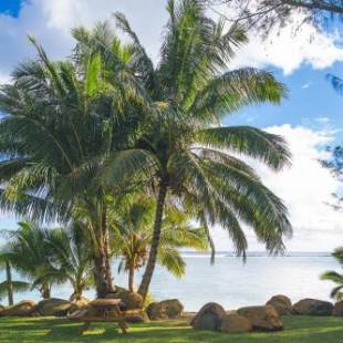 Фотографии гостевого дома
Pae Moana, Rarotonga