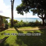 Фотография гостиницы Pacheco Tours Beach Cabins