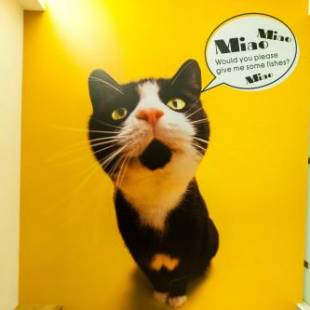 Фотографии мини отеля
X Square