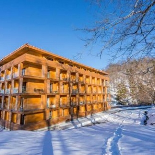 Фотография гостиницы The Valley Bakuriani