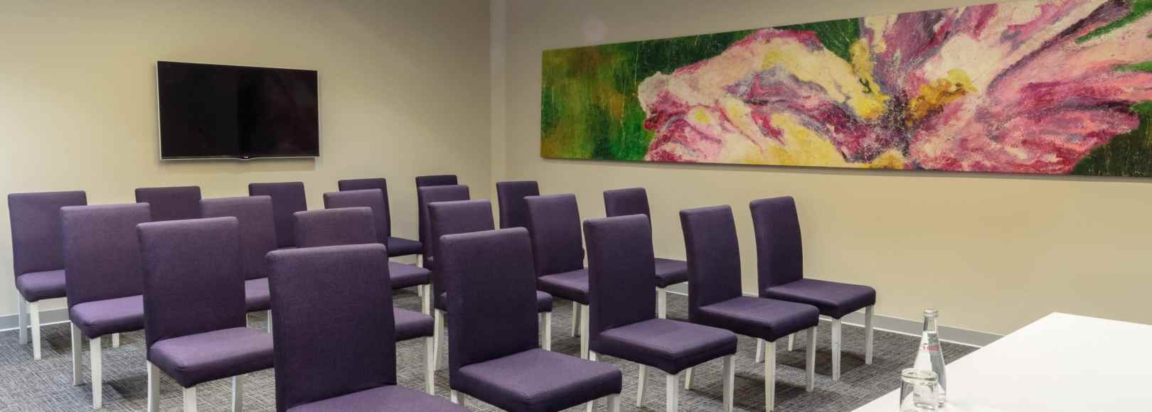 Фотография конференц-зала Домодедово