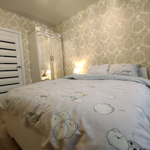 Фотография квартиры Апартаменты Globusapartmentcity Петлякова 5