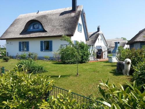 Фотография гостевого дома Ferienhaus-Seehund