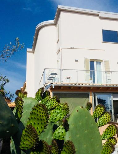 Фотография гостевого дома ALÌKA apartment