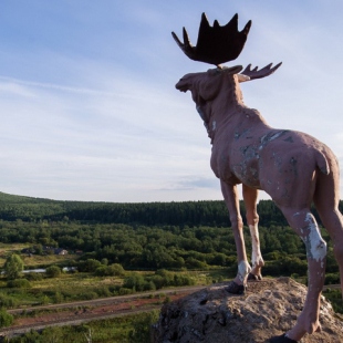 Фотография памятника Скульптура Лось на Курортной горе