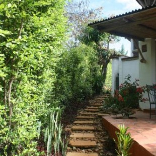 Фотография мини отеля Hotel El Cogollo