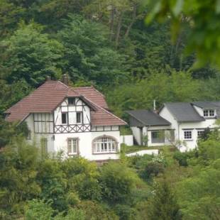 Фотографии мини отеля
La Villa des Oiseaux - La Petite Pierre