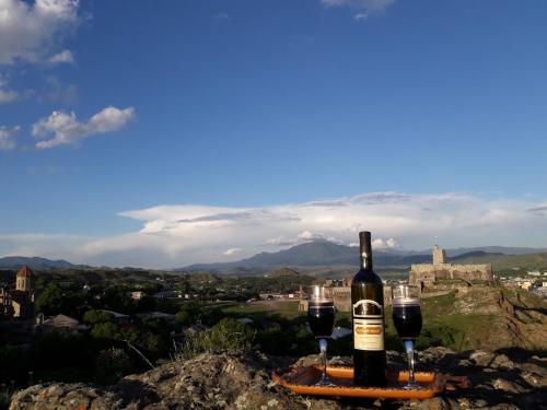 Фотография гостевого дома wine garden rabati