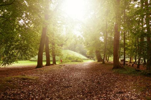 Фотография гостевого дома In de bocht