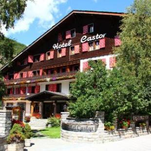 Фотография гостиницы Hotel Castor