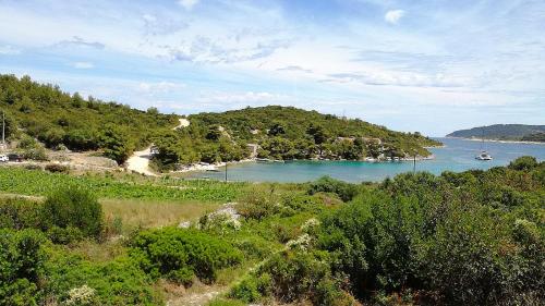 Фотография гостевого дома Kuca za odmor Parja