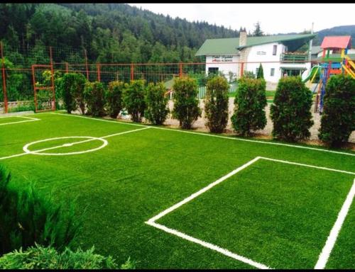 Фотография гостевого дома Vila Horia Bradet