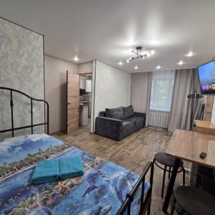 Фотография квартиры Апартаменты Двухкомнатная квартира на Чкалова