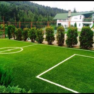 Фотографии гостевого дома
Vila Horia Bradet