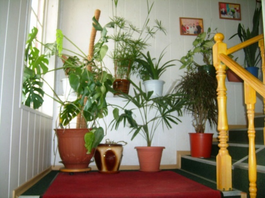 Фотографии мини отеля
Уют