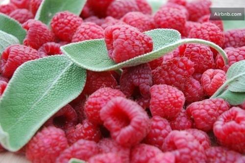 Фотография мини отеля La Salvia e Il Lampone