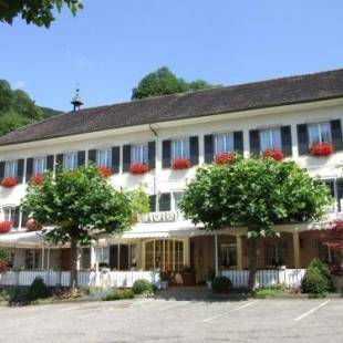 Фотографии гостиницы 
            Bad Eptingen