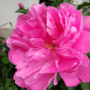 Фотография гостевого дома На Крымской, 216