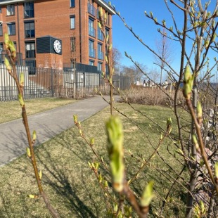 Фотография квартиры Апартаменты в ЖК Фортеция