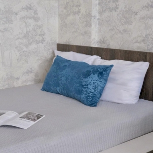 Фотография квартиры Квартира AppartDeLuxe Шевцовой 80