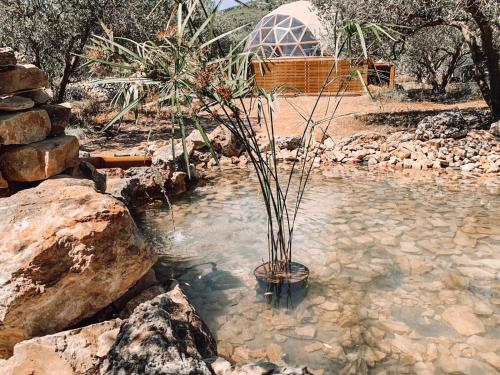 Фотография базы отдыха Bubble Suite Canyelles