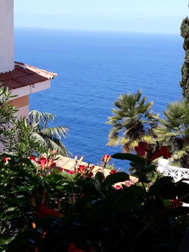 Фотография мини отеля Willkommen im Paradies - Welcome in Paradise - Bienvenidos al paraíso