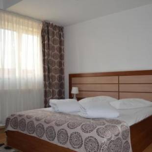 Фотографии гостиницы 
            Hotel Sir Orhideea