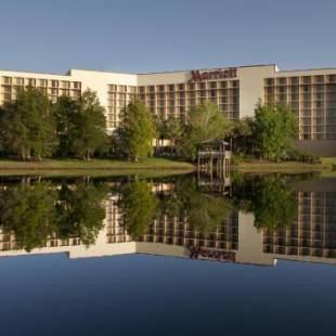 Фотографии гостиницы
Marriott Orlando Airport Lakeside