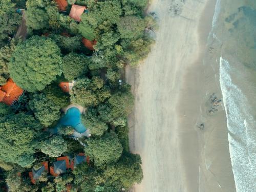 Фотография гостиницы Capitán Suizo Beachfront Boutique Hotel