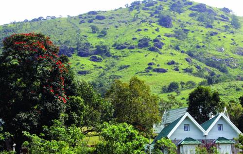 Фотография гостиницы Ambady Estate