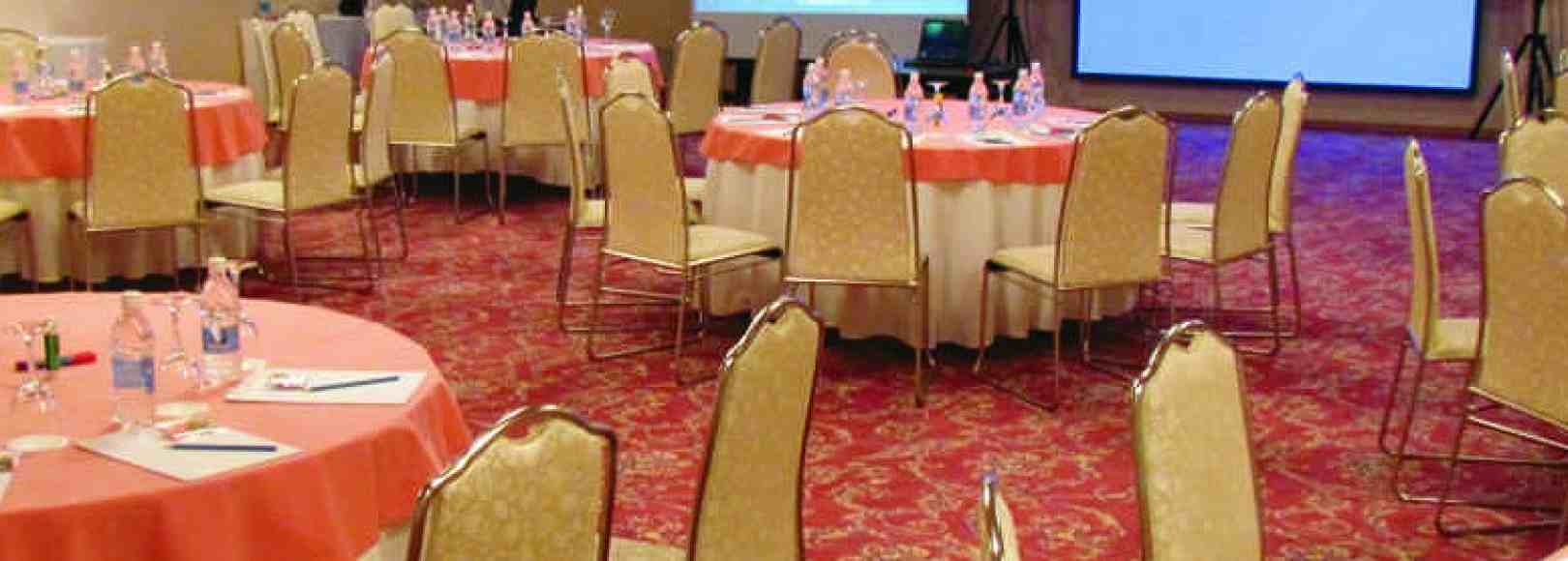 Фотография конференц-зала Алмаз