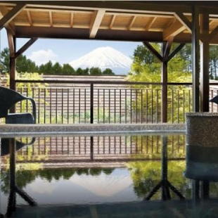 Фотография мини отеля The Gran Resort Princess Fujikawaguchiko