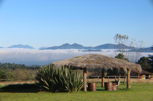 Фотография гостиницы Casa Kitsch