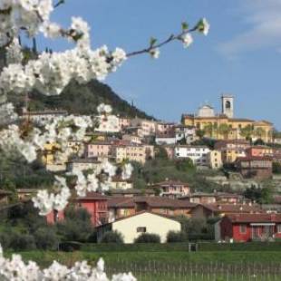 Фотографии мини отеля
B&B Aurora