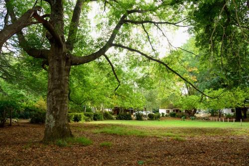 Фотография гостиницы Kings Lodge Hotel