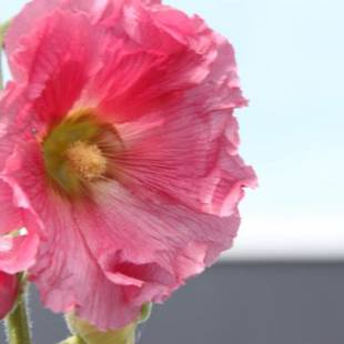 Фотографии мини отеля
Studio Art-hill