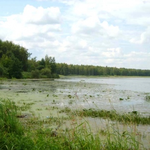 Фотография достопримечательности Озеро Тростенское