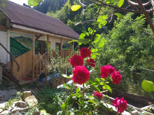 Фотографии мини отеля
ДимГора комфорт