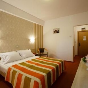 Фотография гостиницы ibis Styles Dunarea Galati