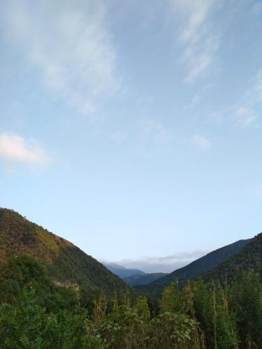 Фотография мини отеля Arman B & B