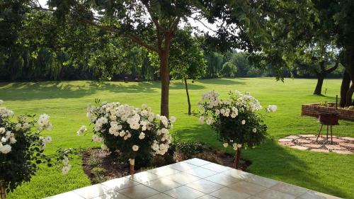 Фотографии гостевого дома
Ibis Nest