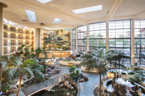 Фотография гостиницы Embassy Suites Phoenix - Biltmore