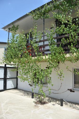 Фотография гостевого дома Галина